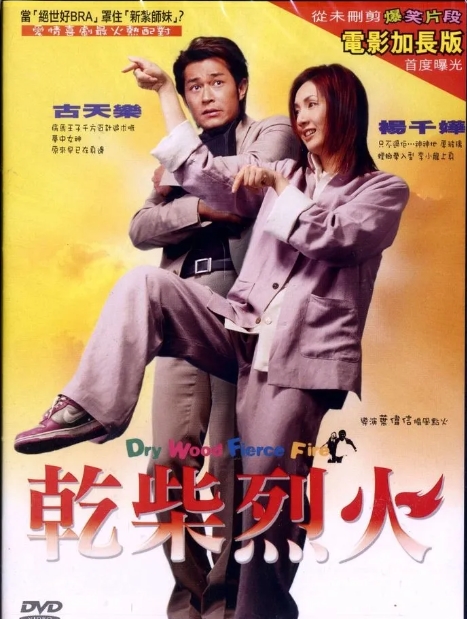 干柴烈火2002